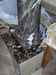 Thumbnail image for gallery/columns/columns_arizona_6.jpg