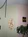 Thumbnail image for gallery/interior/arizona-interior-painting.jpg